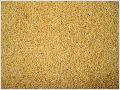 Sell Guzi Millet