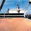 Sell wheat,corn,barley,oil.
