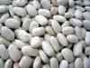 Kidney Beans