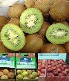 Chilean Fresh Fruits