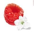 Sell fruit juice concentrate
