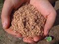 wheat bran