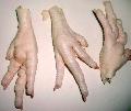 chicken feet /paw
