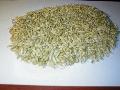 BARLEY