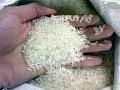 white rice