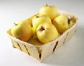 supplying apple juice concentrate