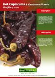 GUAJILLO