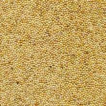 MILLET SEED
