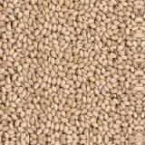 NATURAL SESAME SEED