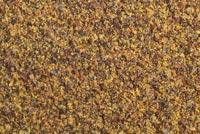 canola meal