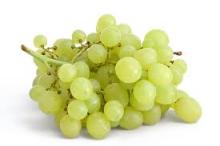 White Grape juice Concentrate