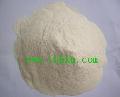 VITAL WHEAT GLUTEN