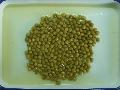 Canned Green Pea