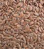 Organic flaxseed