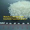 Roun grain white rice - High quality
