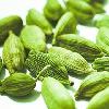 cardamom
