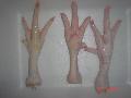 chicken feet