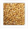 coriander