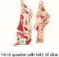 hind quarter with fold of skin