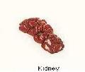 kidney