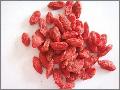 Supply Dried Goji Berry 220grains/50g