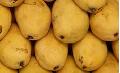 Fresh Mangoes