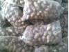 Fresh Colocasia Arvi