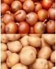 Fresh Onion & Potato