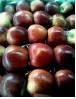 Red Apples