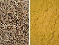 Cumin Seed