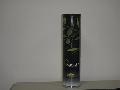 Greek Extra Virgin Olive Oil A quality