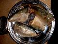 Mackerels in Brine