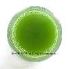 Supply Green Tea Powder(Matcha)