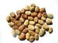 Beans
