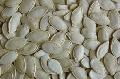 supply pumpkin seed