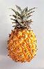 fresh pineapple