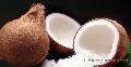 COCONUT CREAM & MILK