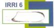 IRRI6