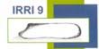 IRRI9