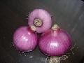 fresh onion