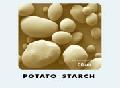Potato Starch