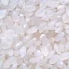 sticky rice
