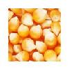 Pop Corn Kernels