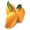 Fresh Mango