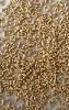 Instant Dried Yeast