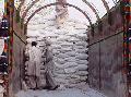 SELLING WHEAT FLOUR