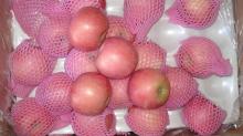 Supply Fuji Apple