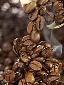 coffee cream