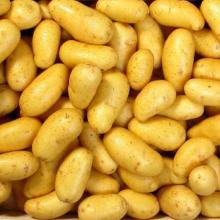 Fresh potato spunta.