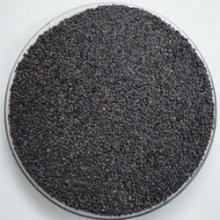 sell sesame seeds